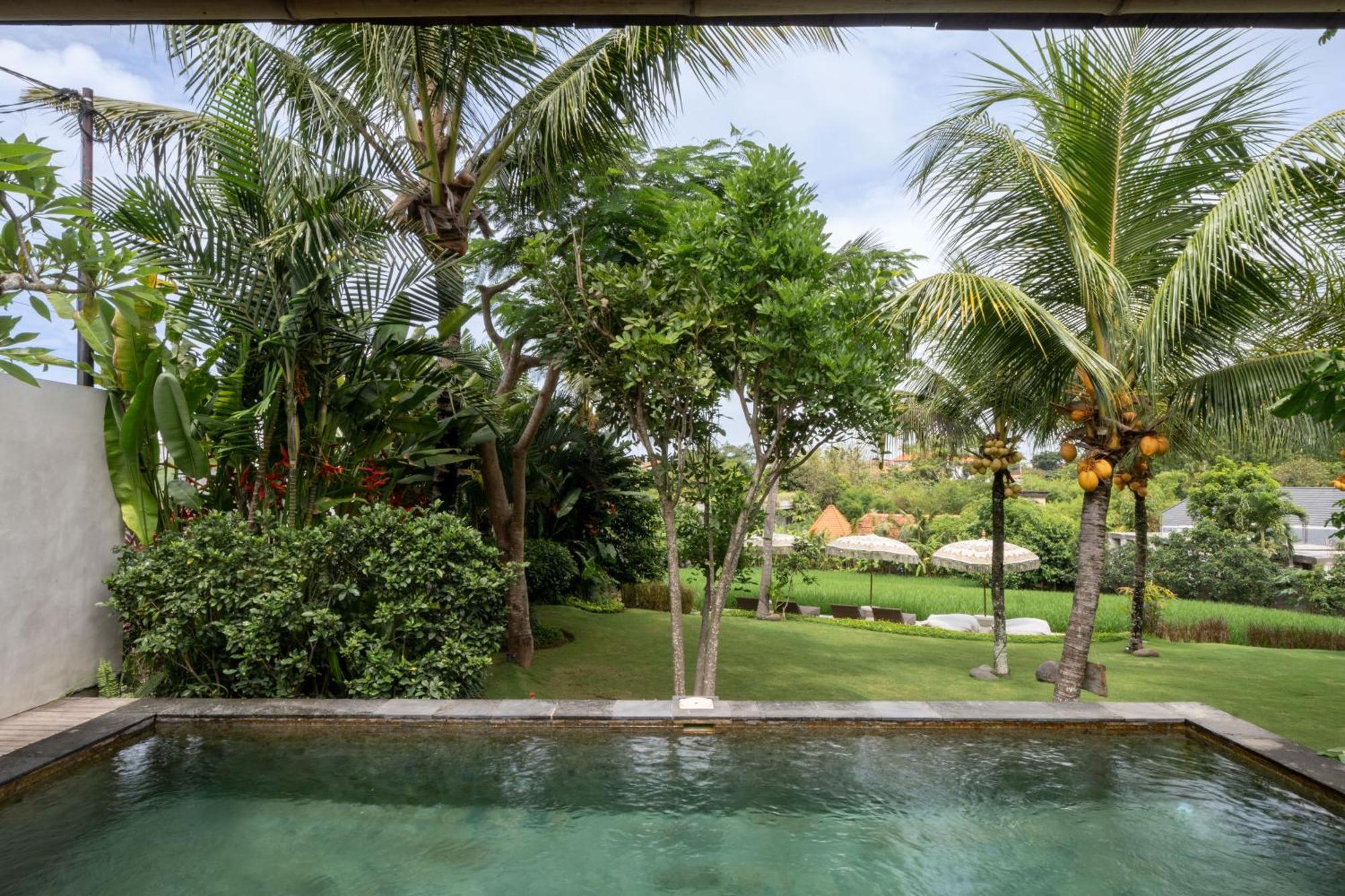 Premadhan Cottage Canggu Eksteriør bilde